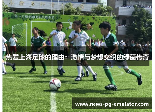 热爱上海足球的理由：激情与梦想交织的绿茵传奇