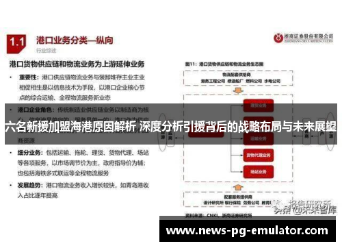 六名新援加盟海港原因解析 深度分析引援背后的战略布局与未来展望