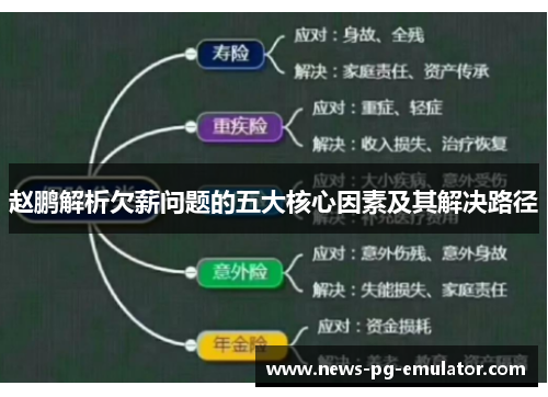 赵鹏解析欠薪问题的五大核心因素及其解决路径