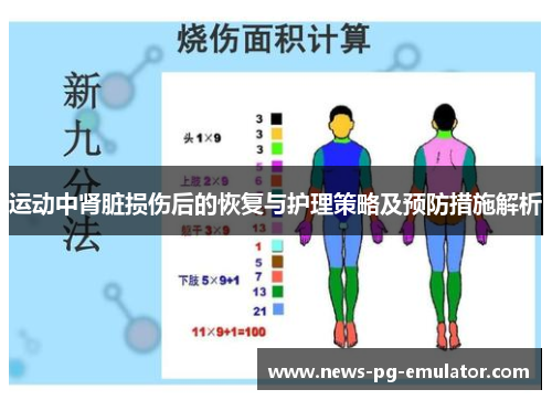 运动中肾脏损伤后的恢复与护理策略及预防措施解析 运动中肾脏损伤后的恢复与护理策略及预防措施解析