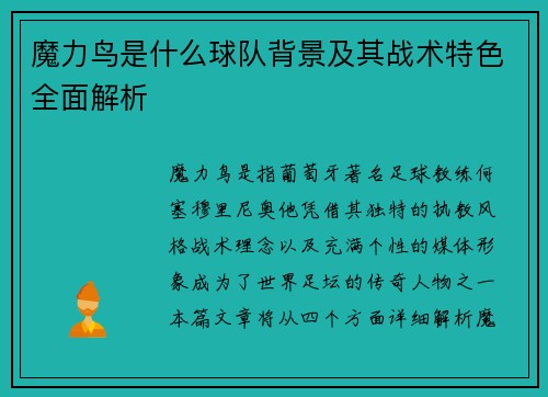 魔力鸟是什么球队背景及其战术特色全面解析 魔力鸟是什么球队背景及其战术特色全面解析